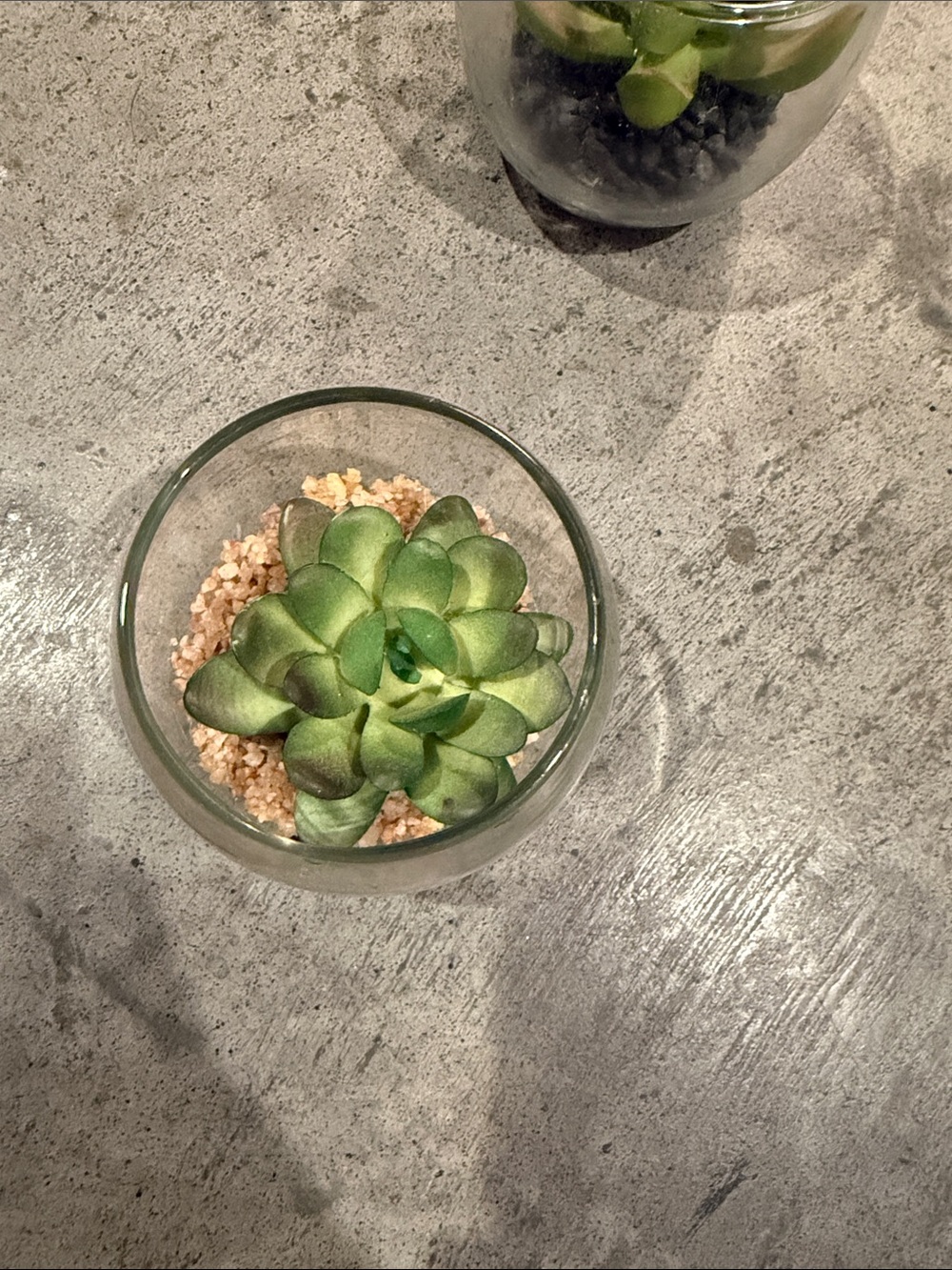Artificial Succulent in Glass Bowl - Green & Red-Green Home Accent - Picture 2 of 5
